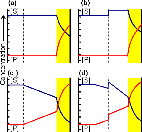 Partition and diffusion profiles