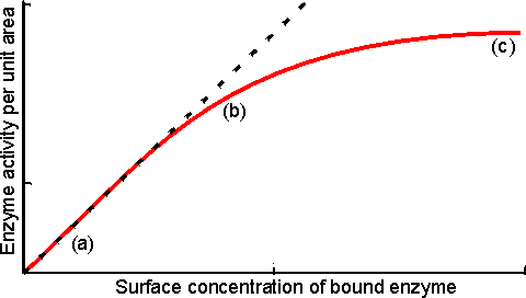 Enzyme activity saturating