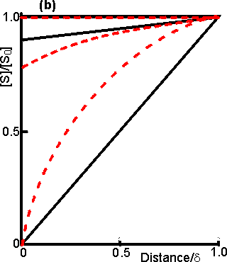 Substrate concentration profile with enzyme attached to outside of cyllindrical fibres