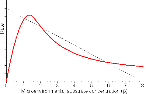 The effect of substrate inhibition on the rate of immobilised enzyme reactions