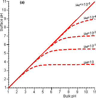 The effect of diffusional control on the local pH and pH-activity profile