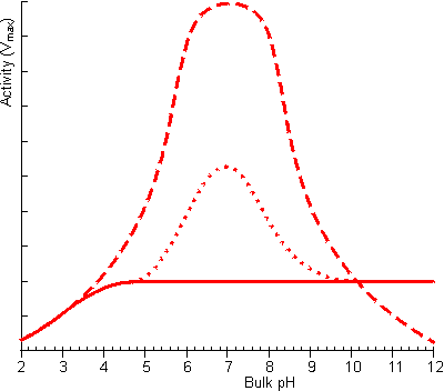 The facilitated transport of hydrogen ions away from an immobilised enzyme