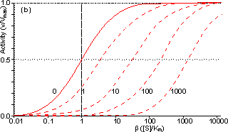 Externally diffusionally controlled reversible reaction