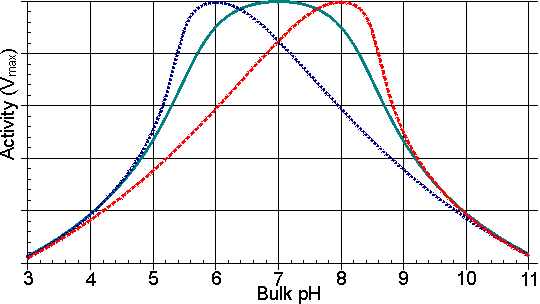 pH optimum shifted by about a pH unit