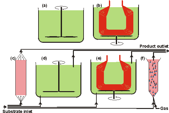 Enzyme reactor types