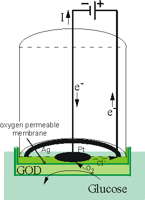 amperometric sensor