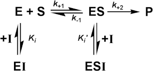 Enzyme + Substrate =(k+1 forwards, k-1 backwards)= (Enzyme-substrate complex) --(k+2)--> Enzyme + Product:Enzyme + Inhibitor =Ki= (Enzyme-inhibitor complex) :Enzyme-substrate  + Inhibitor =Ki= (Enzyme-substrate-inhibitor complex) 