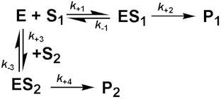 Enzyme + Substrate1 =(k+1 forwards, k-1 backwards)= (Enzyme-substrate1 complex) --(k+2)--> Enzyme + Product1:Enzyme + Substrate2 =(k+3 forwards, k-3 backwards)= (Enzyme-substrate2 complex) --(k+4)--> Enzyme + Product2