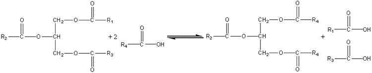 Ester switching fatty acids