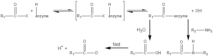 reaction scheme