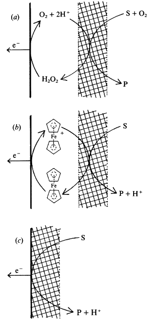 The three generations in the development of a biosensor