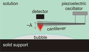 tapping mode atomic force microscopy (AFM)