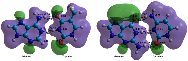 The charged surface of AT and CG; Calculations using the Restricted Hartree-Fock wave function (RHF) using the 6-31G** basis set 