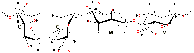 Representative alginate structure