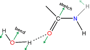 amide I vibration