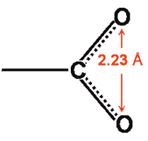 The carboxylate group showing the closeness of the oxygen atoms, 2.23 Angstrom