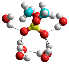 nucleic acid hydration, from [4393]