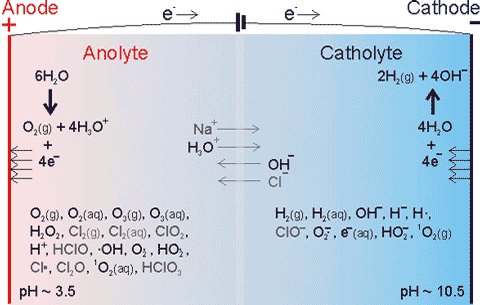 typical electrode compartment contents in water (NaCl) electrolysis