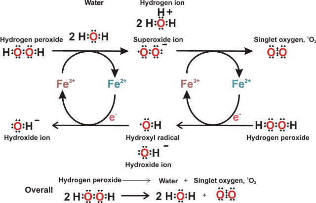 The Fenton reaction, from [3515]