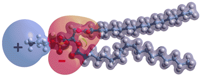 Palmityl oleyl phosphatidylethanolamine