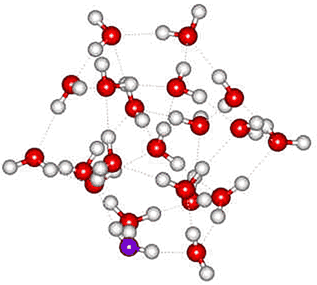 H3O+(H2O)20 cluster; Ref. 72