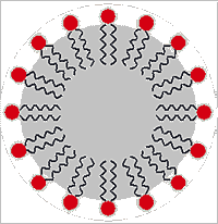 Micelle particle