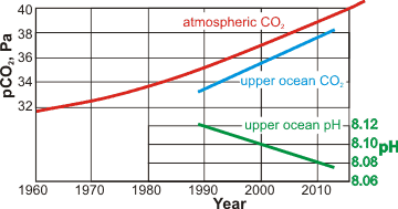 Ocean acidification [2222]