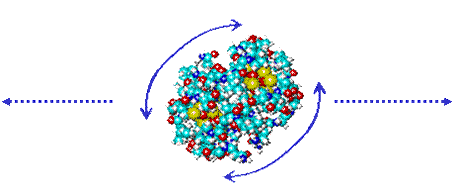 Rotation and translation of proteins