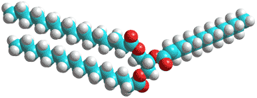 tripalmitoyl glyceride