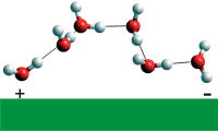 putative water wire